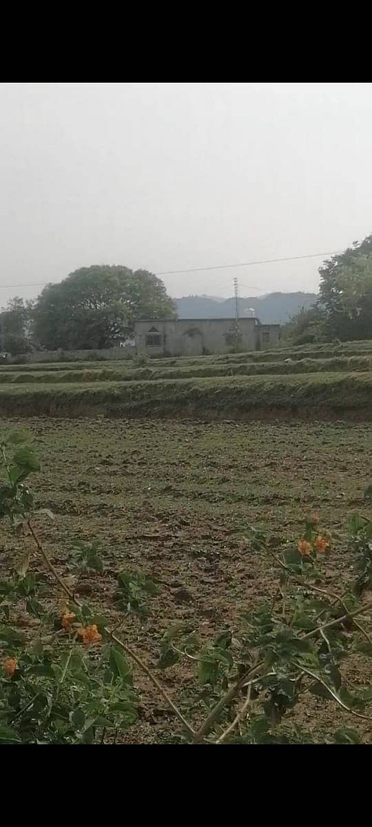 Agricultural, Dairy,Goat, Cattle and Poultary Farms available for Rent 4