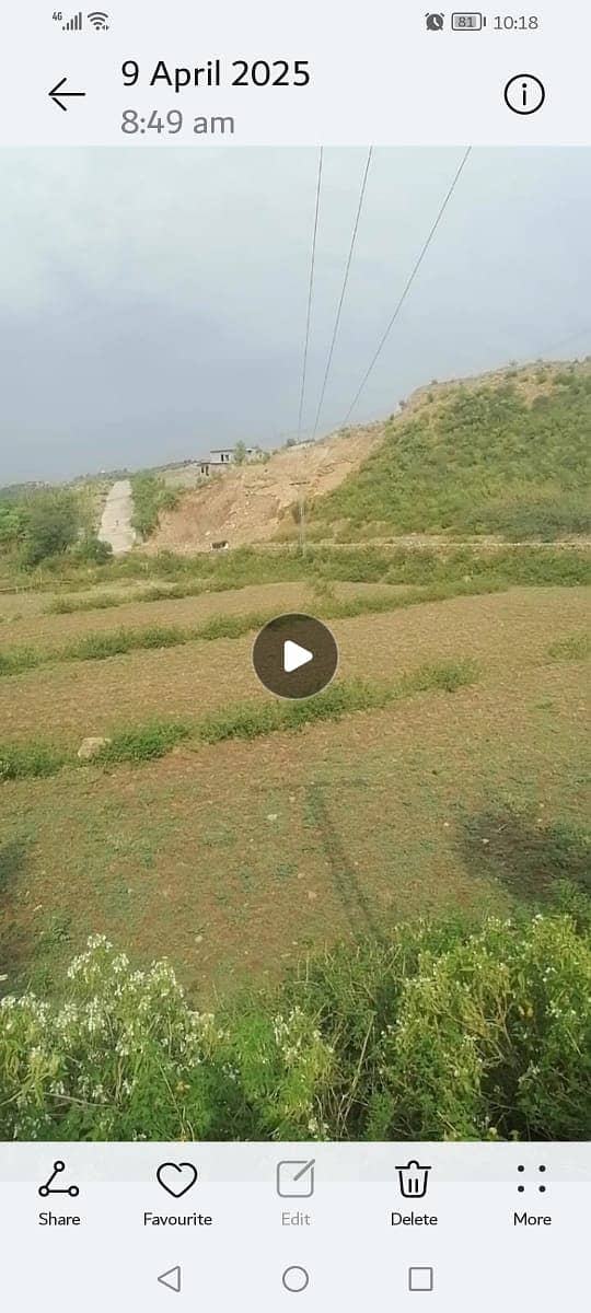 Agricultural, Dairy,Goat, Cattle and Poultary Farms available for Rent 6