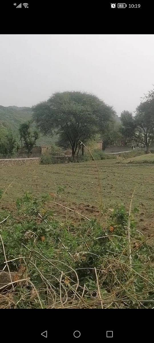 Agricultural, Dairy,Goat, Cattle and Poultary Farms available for Rent 8