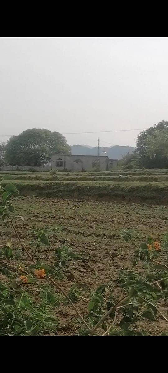 Agricultural, Dairy,Goat, Cattle and Poultary Farms available for Rent 9