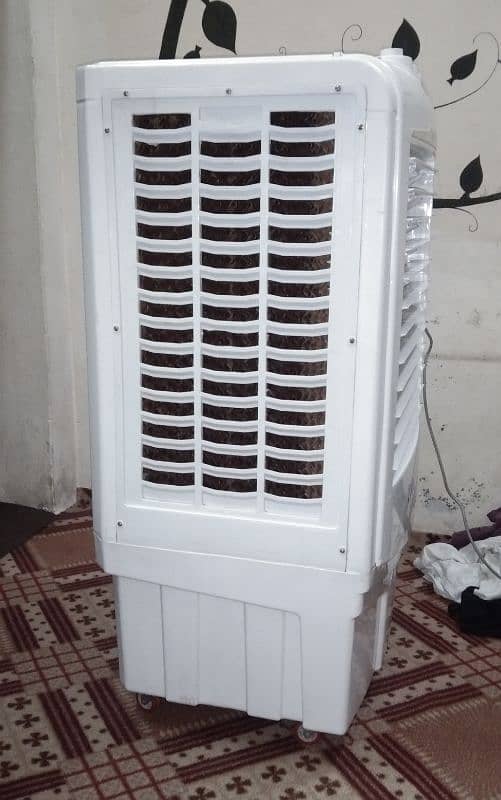 Air Cooler 1