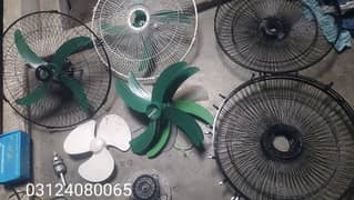 Fan