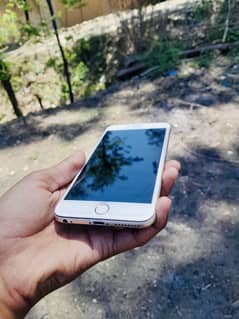 I PHONE 6s plus (official pta approved)