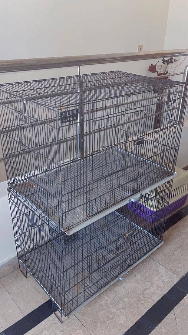 Persian cats and 3 cages 1