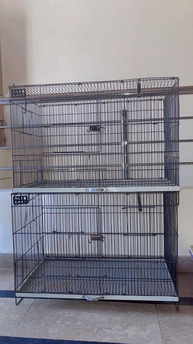 Persian cats and 3 cages 2