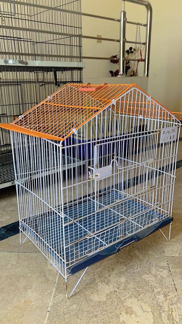 Persian cats and 3 cages 3