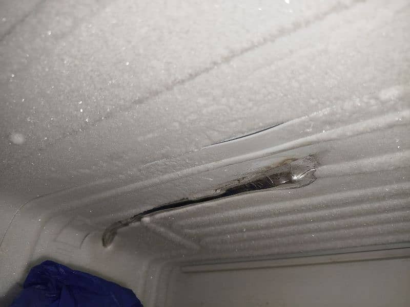 dawlance refrigerator signature model 5