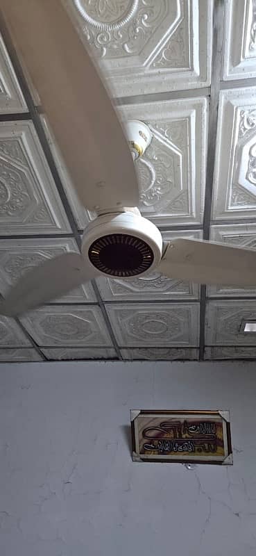 gfc cieling fan normal electric 0