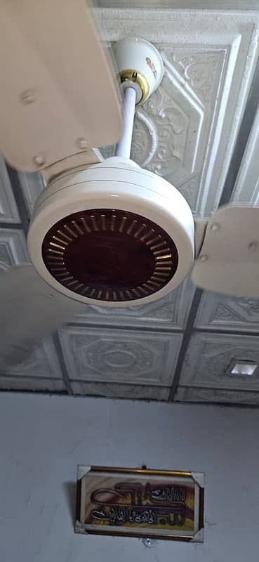 gfc cieling fan normal electric 1