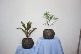 hand made flowers / decoration pieces / home décor items