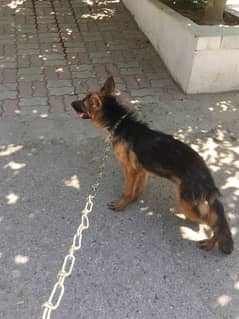 FOR