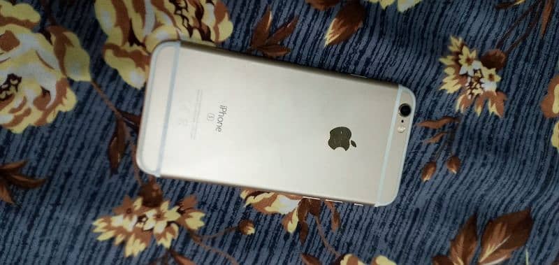 Whatsapp number 03286214662 3