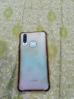 vivo