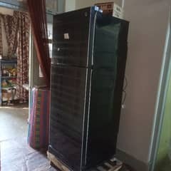 Pel Fridge full size