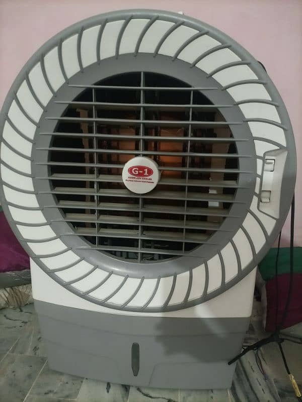 AC/DC room cooler 0