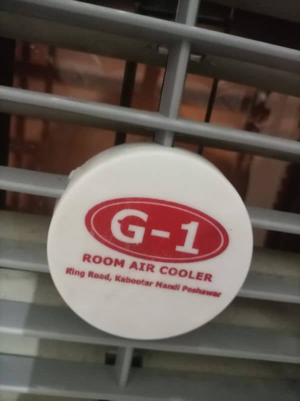 AC/DC room cooler 4