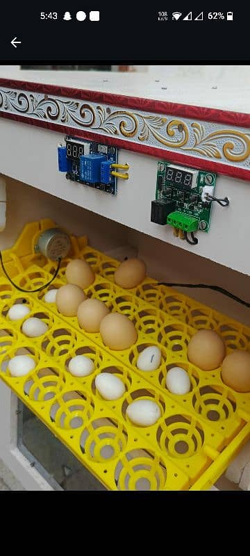 Automatic incubator 2