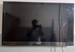 sony