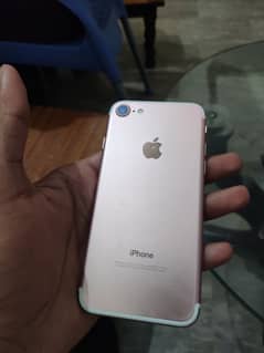 03291920431 Contact