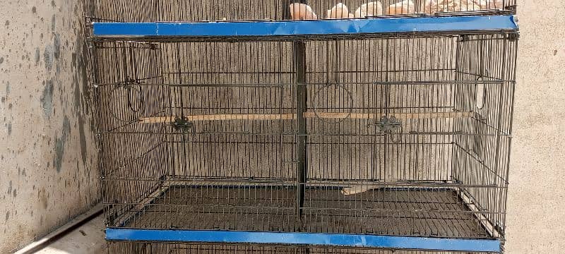 8 Portions Folding Cage (2 box options in per portion) 0