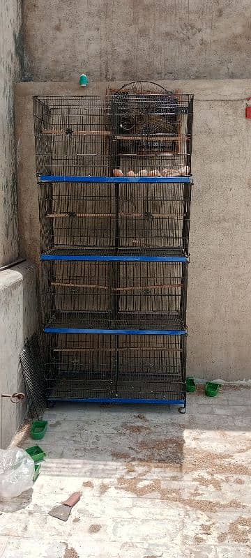 8 Portions Folding Cage (2 box options in per portion) 1