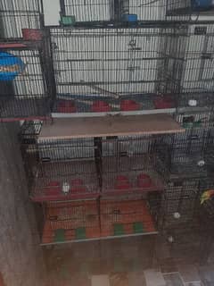 cages and accessories