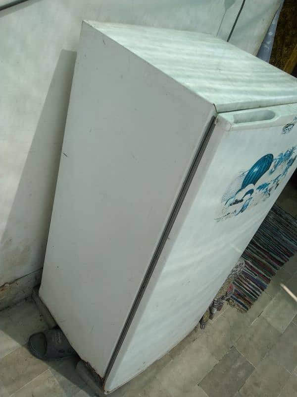 frigh one good condition 3