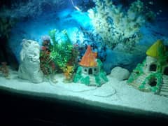 Aquarium