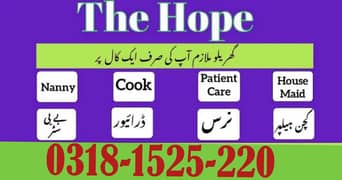 House Maids, Baby Sitter, Cook, Helper, Driver, Nanny, Couple, Chef