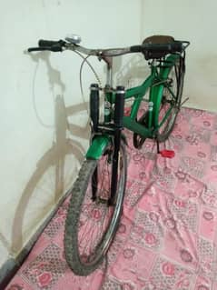 Large size bicycle