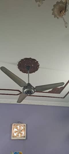 lahore fans crown model