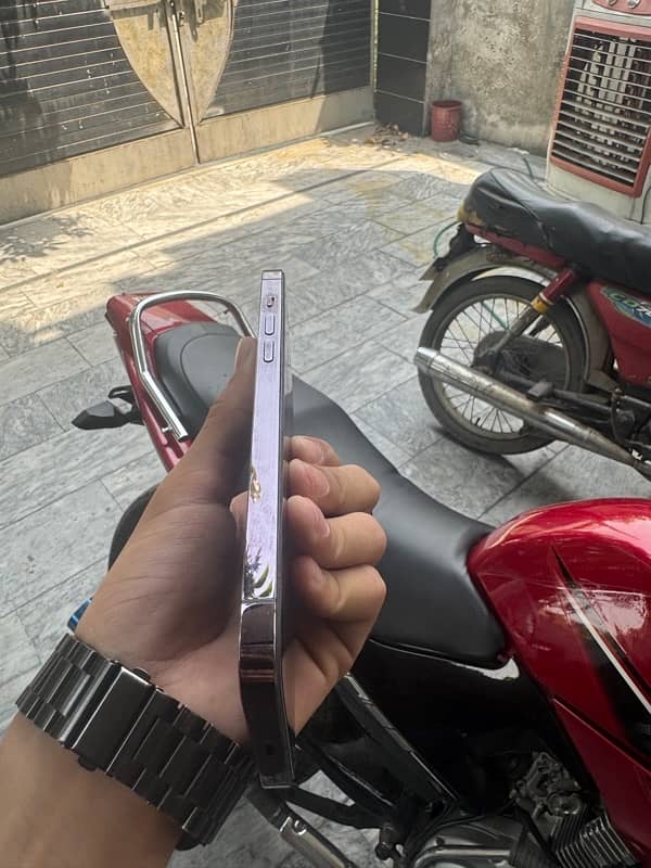 iPhone 14 Pro Max 5