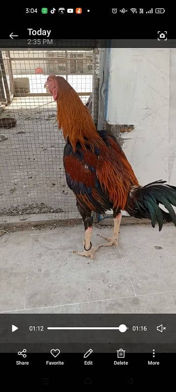 2 male 3 female 9