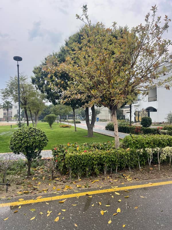 4.25 MARLA INVESTER PRICE PLOT AVAILABLE FOR SALE 2
