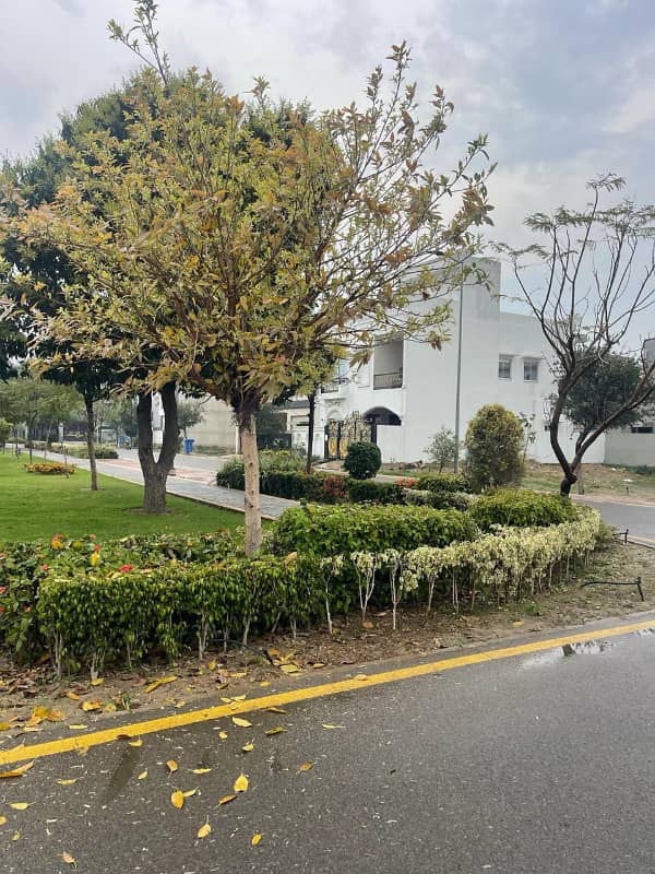 4.25 MARLA INVESTER PRICE PLOT AVAILABLE FOR SALE 4