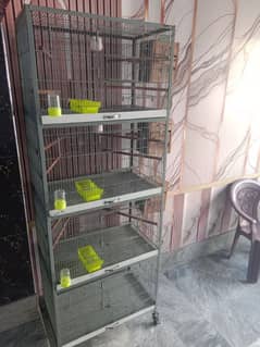 Birds