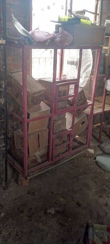 Cages 1