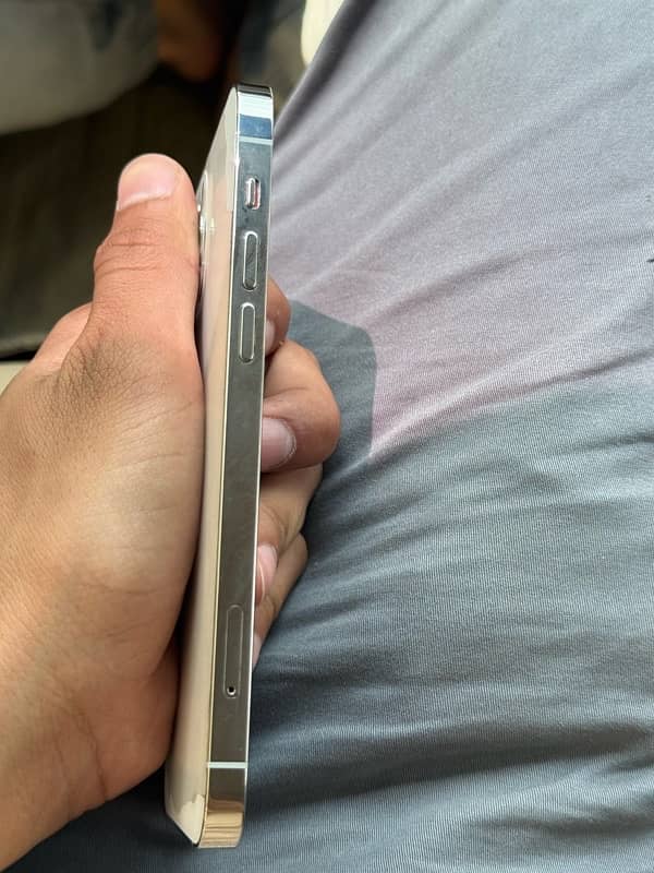 iphone 12 pro non pta 2