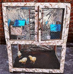 Parrots Birds Cage Pinjra Hens Chick Pets and animals