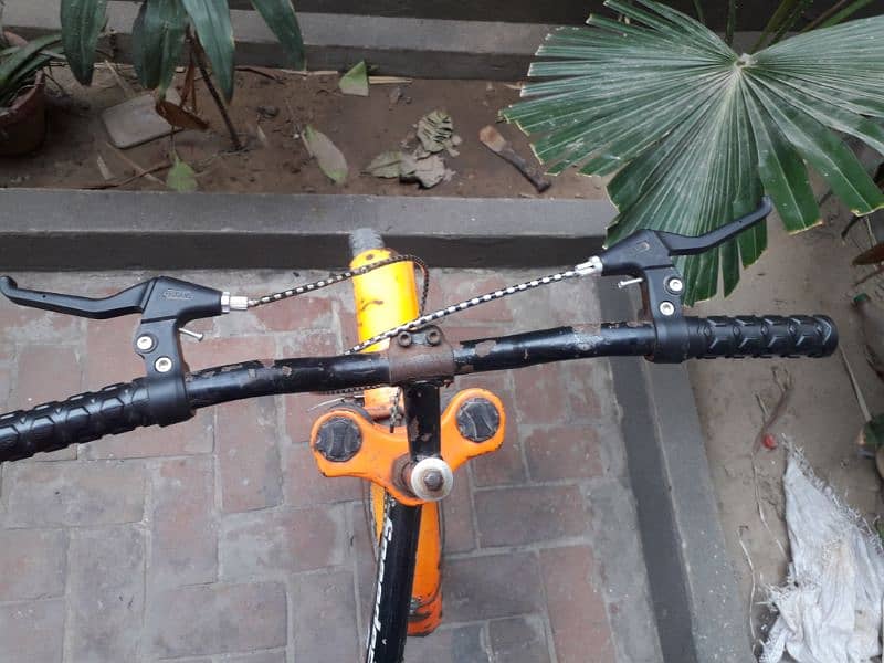 cycle rating 10/7 1