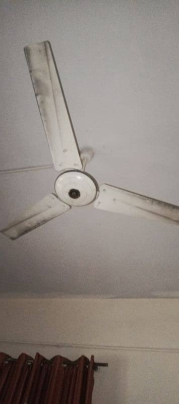 younus fan ceiling fan 0