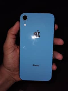 iPhone Xr 64gb Lush condition
