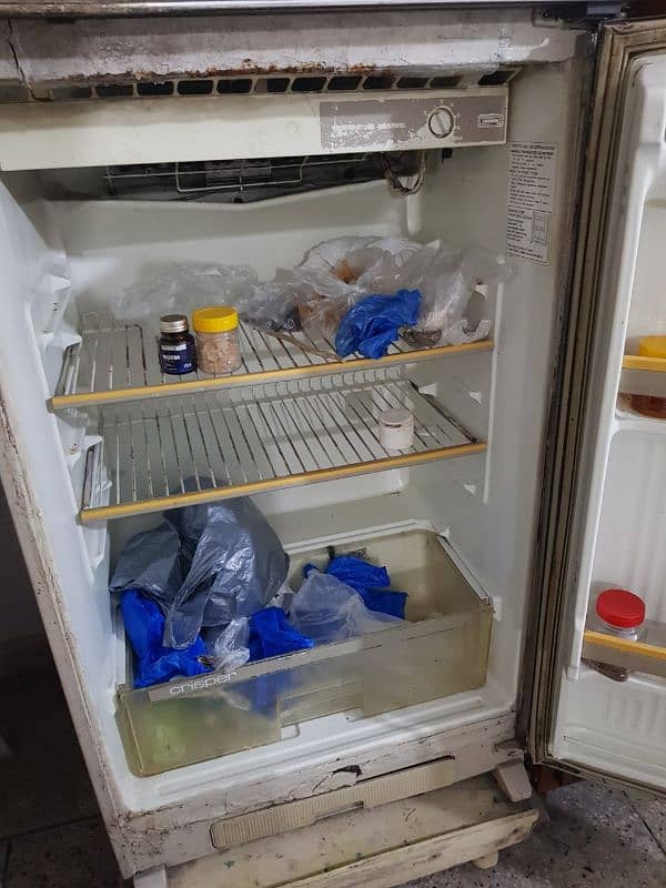 Refrigerator general 4