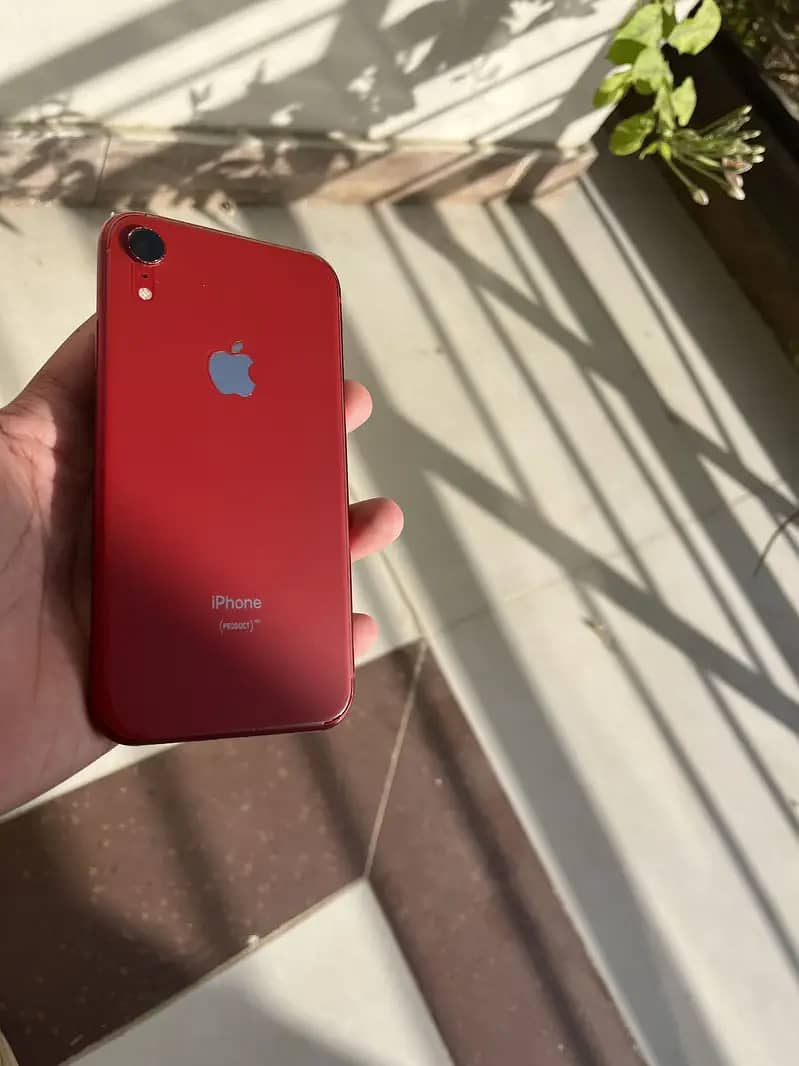 Iphone XR non pta factory unlock [128GB] 8