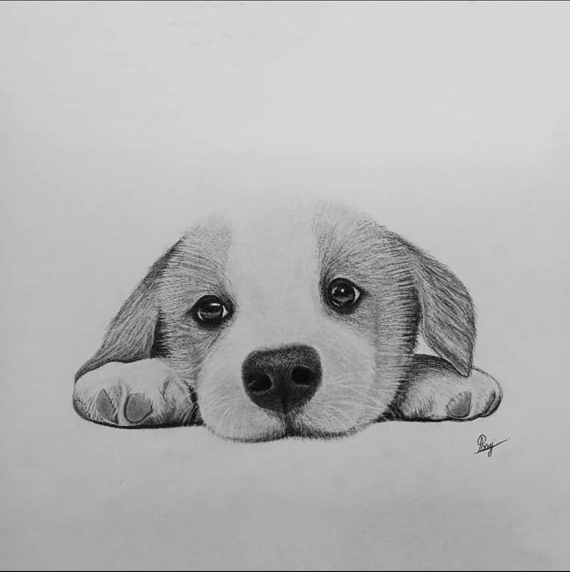 I Will draw beautiful realistic pencil sketch for you 6