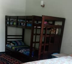 bunk