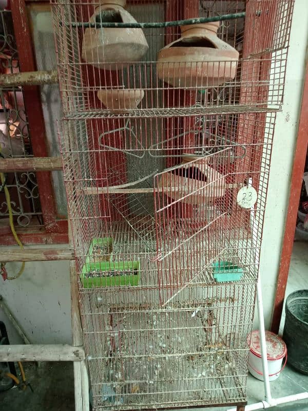 birds cages 0