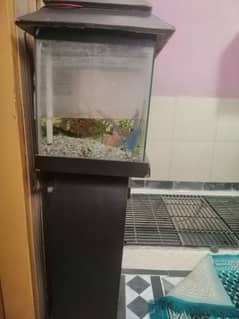 aquarium