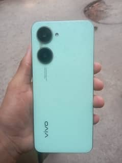 vivo