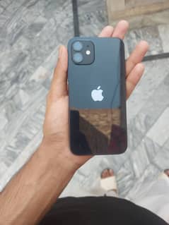 _IPhone